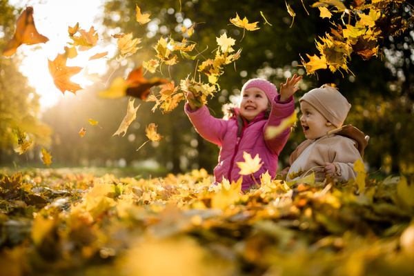 Herfstbos